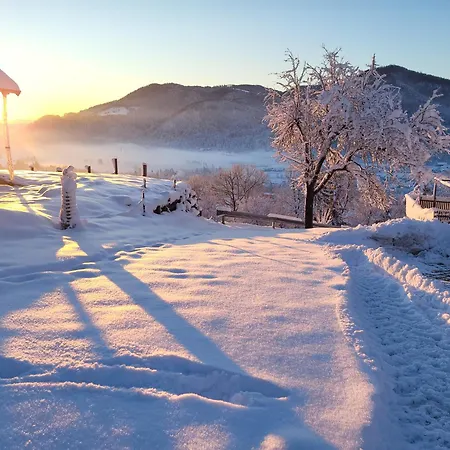 Apartma Angelika 아파트