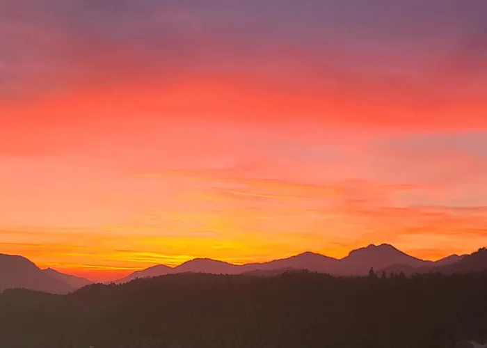 Apartma Angelika 모지례